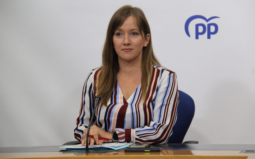 Andicoberry insiste en que la oposición del PP coordinada con las administraciones local y provincial de Ciudad Real ha conseguido frenar el campamento de inmigrantes en el aeropuerto