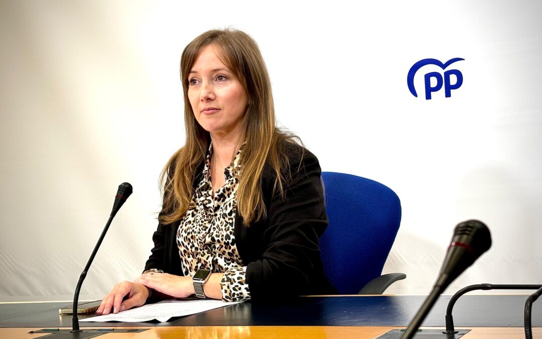 Andicoberry advierte que el PSOE ha recortado en más de 8 millones de euros la partida presupuestaria del Instituto de la Mujer