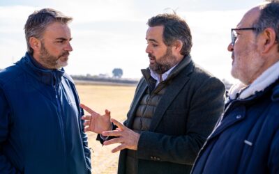 Núñez apoya la denuncia de ASAJA ante la Fiscalía por la inacción del Gobierno de Page ante la plaga de conejos