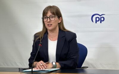 Andicoberry señala que Page ha convertido las Cortes “en un cortijo particular” donde “no comparece, no da explicaciones y no rinde cuentas”